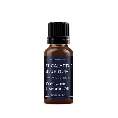 Eucalyptus Blue Gum Essential Oil