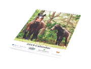 Charity Calendar 2019 - In aid of Bowel Cancer UK