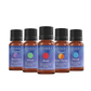 Chakra | Essential Oil Blend Gift Pack