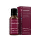 Lavender Fragrance Oil