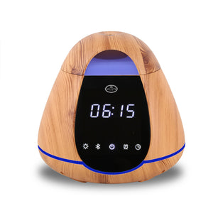 Electric Diffusers
