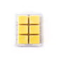 Lion’s Roar | Scented Wax Melt Clamshell
