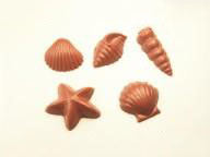 Shells (5 Designs) PVC Mould (11 Cavity)